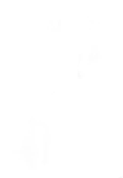 Page 42 of Shiragasane