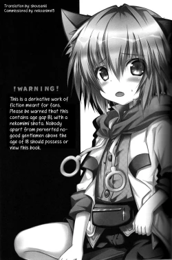 Page 2 of Nokkarization