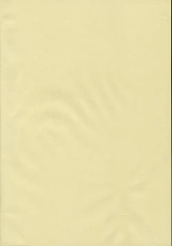 Page 2 of Voguish 10 Nadesico 5 Yume Mizuki