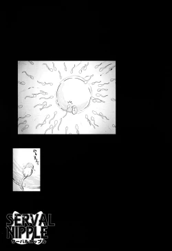 Page 29 of Serval Nipple