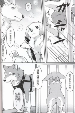 Page 20 of Usotsuki Tachi no " " | 讹言者们的“ ”