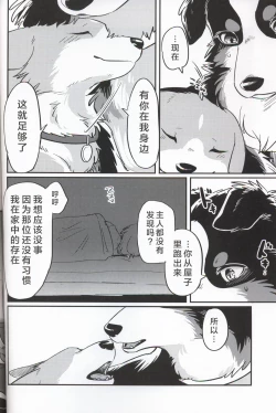 Page 28 of Usotsuki Tachi no " " | 讹言者们的“ ”