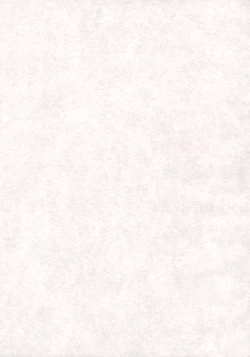 Page 27 of Yoruichi Nyan no Hon 2