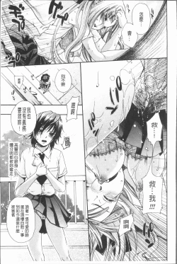 Page 176 of Inyoku Sakari ni Ogorite