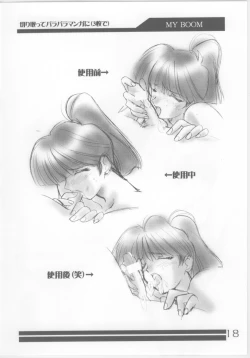 Page 17 of Ruridou Gahou 5