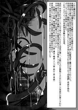 Page 2 of Potion Elf