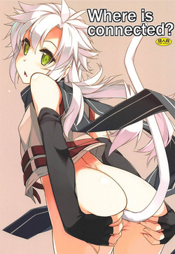 Download Where is connected?