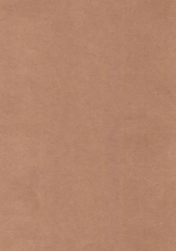 Page 5 of Lily Autumn Wind Lovers