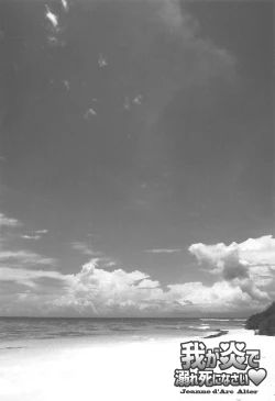 Page 3 of Waga Honoo de Oborejininasai