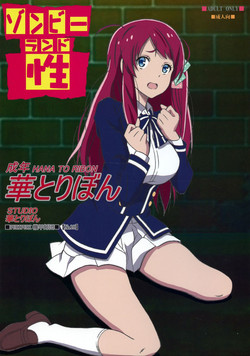 Download Zombie Land Sei