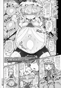 Page 33 of Remilia Mugen Marunomi