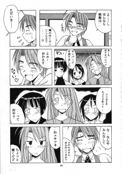 Page 35 of Mitsune SP