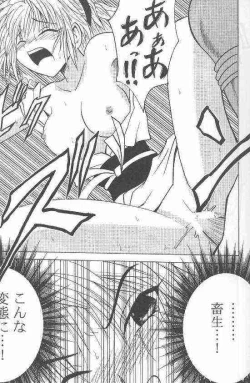 Page 13 of Shinshuku Jizai no Ai