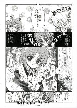 Page 5 of THE Hayate DE Pon! SCENE MARIA