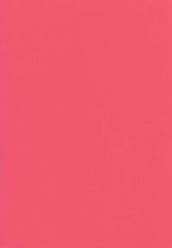 Page 2 of School Champloo 13