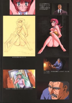 Page 19 of Viper F40