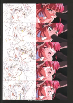 Page 21 of Viper F40