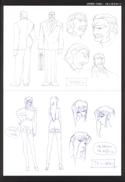 Page 33 of Viper F40