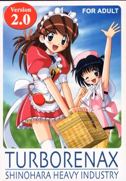 Page 1 of TURBORENAX 2