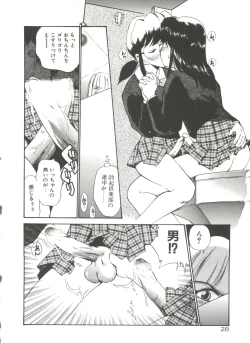 Page 33 of Anal Justice