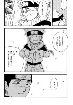 Page 45 of IruNaru no Wadachi