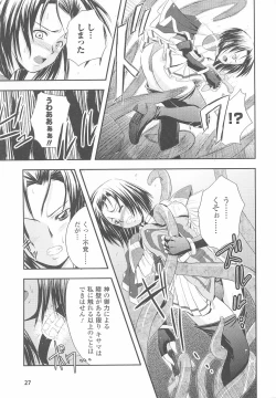 Page 29 of Tatakau Heroine Ryoujoku Anthology Toukiryoujoku 24