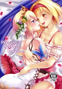 Page 1 of Princess is Seeking Unknown