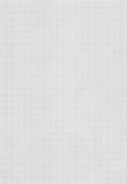 Page 4 of Seijo no Gohoushi