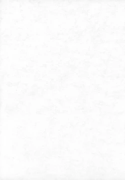 Page 3 of PORNOGRAPHY 12