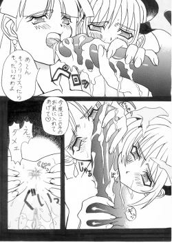 Page 13 of Darkstalkers Black-Box