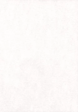 Page 4 of Delight Beppin