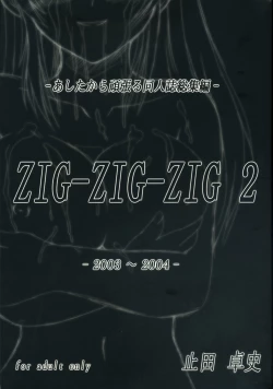 Page 1 of ZigZig2