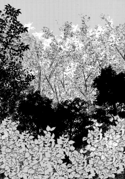 Page 49 of Chronology