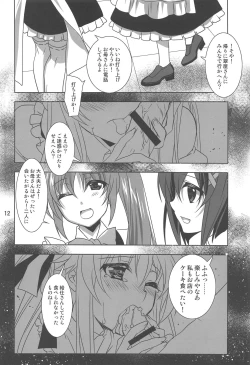 Page 11 of Magical SEED MAID