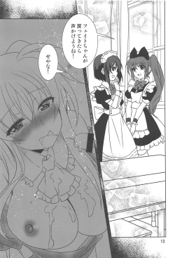 Page 12 of Magical SEED MAID
