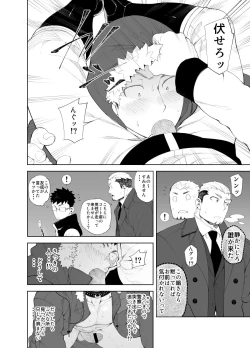 Page 18 of capture:3