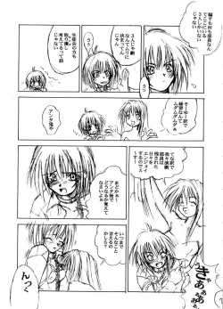 Page 8 of Exhibition - File 01