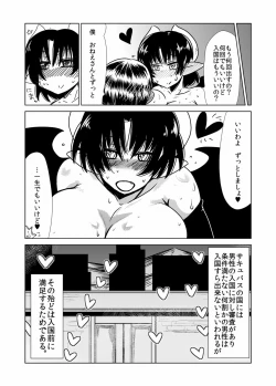Page 21 of Succubus-san no Sei Chiryou.