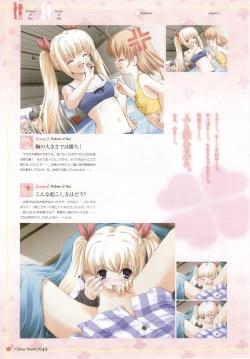 Page 44 of clover heart's visual fan book
