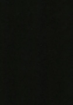 Page 21 of Isekai Onahole