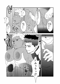 Page 14 of Moshimo Niwaka Fan ga Chara Ai dake de Manga o Kaite Mitara Fate Lancer x Archer