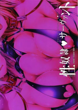 Page 24 of Seidorei Servant