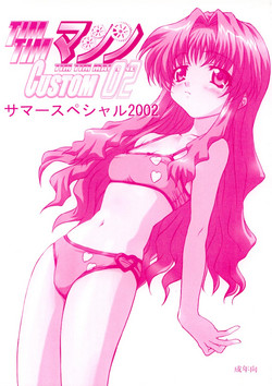 Download TIMTIM MACHINE CUSTOM 02 Sumer Special 2002