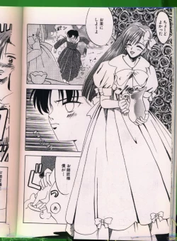 Page 21 of Bishoujo Doujinshi Anthology 19