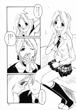 Page 28 of InNyu Seibo