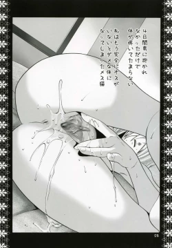 Page 27 of Mithra Choukyou Enikki