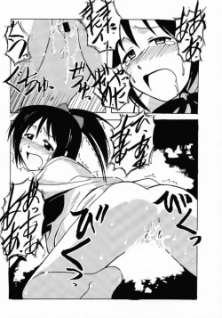 Page 29 of Shinobu SP.