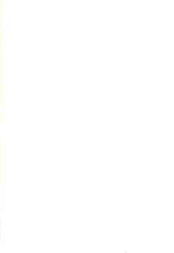 Page 2 of magnetic summer