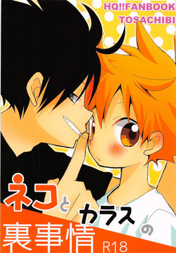 Download Neko to Karasu no Ura Jijou