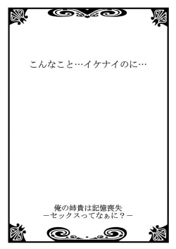 Page 28 of 俺の姉貴は記憶喪失-セックスってなぁに？